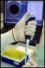 Test de dépistage à l'anthrax aux Etats-Unis, en ocotbre 2001 (© AFP/Archives - George Frey)